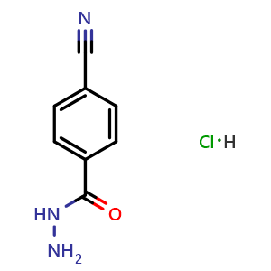 4-cyanobenzohydrazide hydrochloride