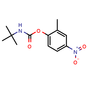 Chemical structure of tert-Butyl 2-methyl-4-nitrophenyl carbamate , CAS 1389313-39-6, AChemBlock X187196