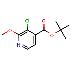 Chemical structure of Tert-butyl 3-chloro-2-methoxyisonicotinate , CAS 2413441-21-9, AChemBlock X188850