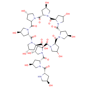 (2R,4S)-4-hydroxy-1-((2S,4R)-4-hydroxy-1-((4S)-4-hydroxy-1-((2S,4R)-4-hydroxy-1-((2R)-4-hydroxy-1-((2S,4R)-4-hydroxy-1-((2R)-4-hydroxy-1-((2S,4R)-4-hydroxy-1-((2R,4S)-4-hydroxy-1-((2S,4R)-4-hydroxypyrrolidine-2-carbonyl)pyrrolidine-2-carbonyl)pyrroli..