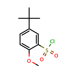 5-(tert-Butyl)-2-methoxybenzenesulfonyl Chloride