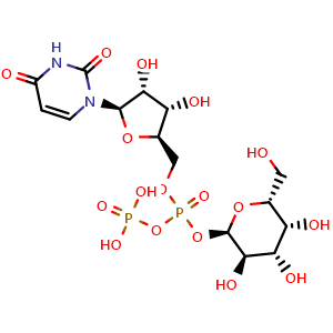 UDP-Gal