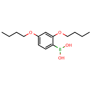 Chemical structure of 2,4-Dibutoxyphenylboronic acid , CAS 870778-89-5, AChemBlock X193410