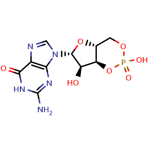 Chemical structure of Guanosine 3',5'-monophosphate , CAS 7665-99-8, AChemBlock X193563