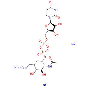 UDP-6-N3-D-GlcNAc