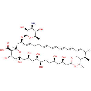 Chemical structure of Amphotericin B , CAS 1397-89-3, AChemBlock X195090