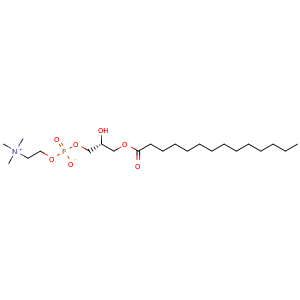 Chemical structure of LysoPC(14:0/0:0) , CAS 20559-16-4, AChemBlock X196076