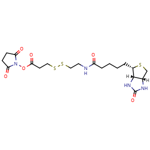 Chemical structure of NHS-SS-biotin , CAS 122266-55-1, AChemBlock X196977
