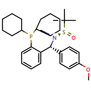 Chemical structure of [S(R)]-N-[(R)-[2-(Dicyclohexylphosphanyl)phenyl](4-methoxyphenyl)methyl]-N,2-dimethyl-2-propanesulfinamide , CAS 2565792-29-0, AChemBlock X197440