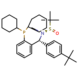 Chemical structure of [S(R)]-N-[(R)-[2-(Dicyclohexylphosphanyl)phenyl](4-(tert-butyl)phenyl)methyl]-N,2-dimethyl-2-propanesulfinamide , CAS 2565792-61-0, AChemBlock X197441
