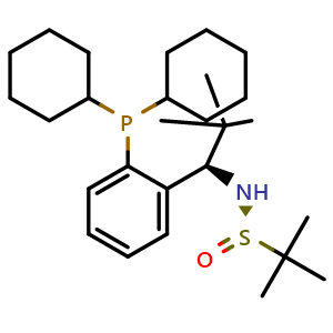 [S(R)]-N-((1R)-1-(2-(Dicyclohexylphosphino)phenyl)-2,2-dimethylpropyl)-2-methyl-2-propanesulfinamide