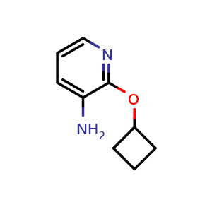 Chemical structure of 2-Cyclobutoxypyridin-3-amine , CAS 1247347-64-3, AChemBlock X199762