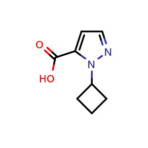 Chemical structure of 1-Cyclobutyl-1H-pyrazole-5-carboxylic acid , CAS 1556315-61-7, AChemBlock X200705