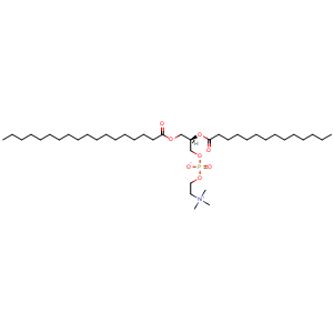 1-Stearoyl-2-myristoyl-sn-glycero-3-PC