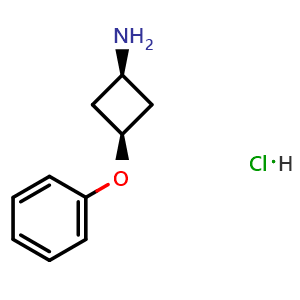 Chemical structure of cis-3-Phenoxycyclobutanamine hydrochloride , CAS 1955473-81-0, AChemBlock X201936