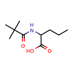 Chemical structure of 2-Pivalamidopentanoic acid , CAS 1380547-40-9, AChemBlock X202468