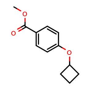 Chemical structure of 4-Cyclobutoxy-benzoic acid Methyl ester , CAS 1870333-37-1, AChemBlock X202967