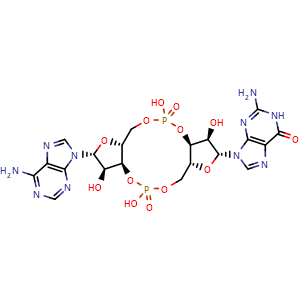 Cyclic AMP-GMP