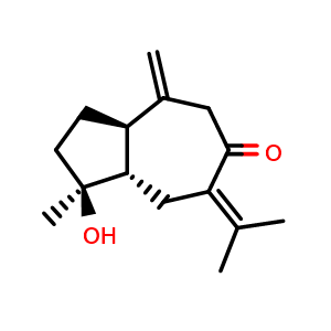Isoprocurcumenol