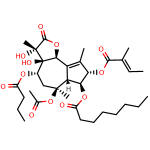 Chemical structure of Thapsigargin , CAS 67526-95-8, AChemBlock X203831