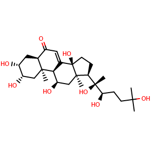 Chemical structure of Turkesterone , CAS 41451-87-0, AChemBlock X203837