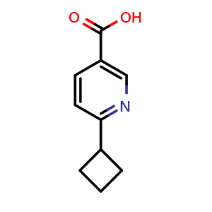 Chemical structure of 6-cyclobutylnicotinic acid , CAS 1228112-80-8, AChemBlock X207391