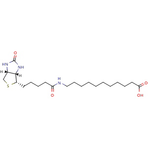 Chemical structure of (+)-Biotin-SLC , CAS 1864003-57-5, AChemBlock X209005
