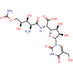 Chemical structure of b-D-Allofuranuronic acid,5-[[2-amino-5-O-(aminocarbonyl)-2-deoxy-L-xylonoyl]amino]-1,5-dideoxy-1-[3,4-dihydro-5-(hydroxymethyl)-2,4-dioxo-1(2H)-pyrimidinyl]- , CAS 19396-06-6, AChemBlock X209222