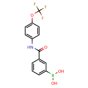Chemical structure of (3-((4-(trifluoromethoxy)phenyl)carbamoyl)phenyl)boronic acid , CAS 1704069-22-6, AChemBlock X209468