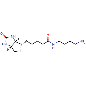 5-[(3aS,4S,6aR)-2-oxo-1,3,3a,4,6,6a-hexahydrothieno[3,4-d]imidazol-4-yl]-N-(4-aminobutyl)pentanamide