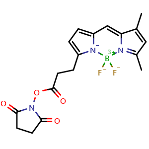 BODIPY-FL NHS ester