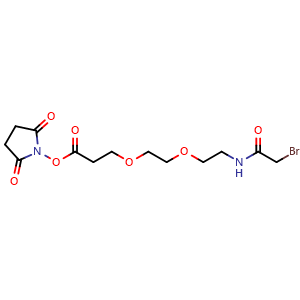 Bromoacetamido-PEG2-C2-NHS ester