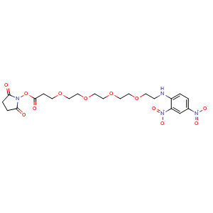 DNP-PEG4-NHS ester