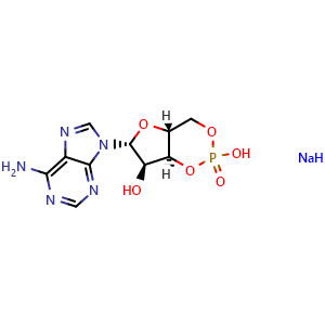 Cyclic AMP (sodium)