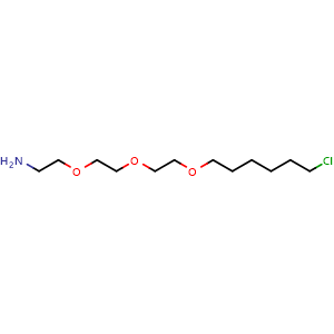 Chemical structure of NH2-PEG3-C6-Cl , CAS 1261350-60-0, AChemBlock X211701