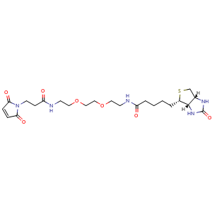Chemical structure of (+)-Biotin-PEG2-maleimide , CAS 305372-39-8, AChemBlock X211891