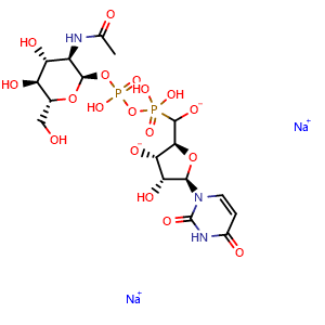 UDP-GlcNAc.2Na