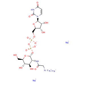 Chemical structure of UDP-GlcNAz.2Na , CAS 1611490-64-2, AChemBlock X211910
