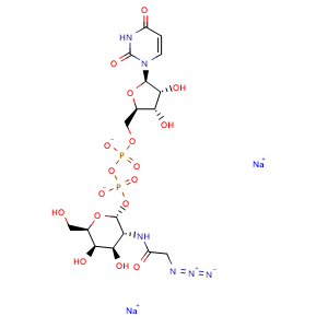Chemical structure of UDP-GalNAz.2Na , CAS 653600-61-4, AChemBlock X211911