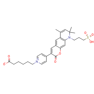 Chemical structure of 6-[4-[6,8,8-trimethyl-2-oxo-9-(3-sulfopropyl)pyrano[3,2-g]quinolin-3-yl]pyridin-1-ium-1-yl]hexanoate , CAS 811785-95-2, AChemBlock X212032