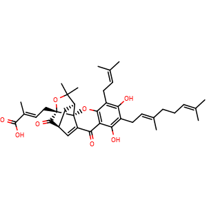Chemical structure of Isogambogenic acid , CAS 887923-47-9, AChemBlock X212287