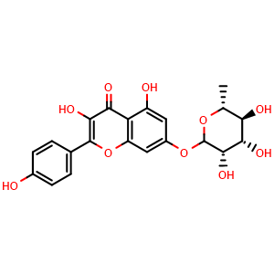 Kaempferol 7-O-rhamnoside