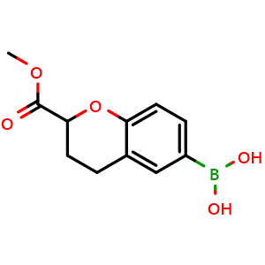 Chemical structure of [2-(methoxycarbonyl)-3,4-dihydro-2H-1-benzopyran-6-yl]boronic acid , CAS 2828444-05-7, AChemBlock X213097