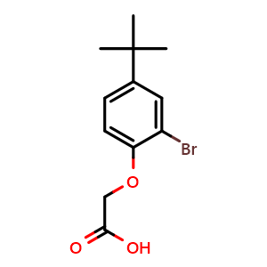 2-(2-bromo-4-(tert-butyl)phenoxy)acetic acid