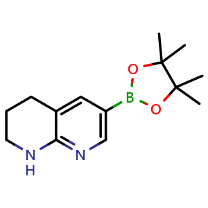 6-(4,4,5,5-tetramethyl-1,3,2-dioxaborolan-2-yl)-1,2,3,4-tetrahydro-1,8-naphthyridine