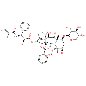 7-Xylosyl-10-deacetyltaxol B