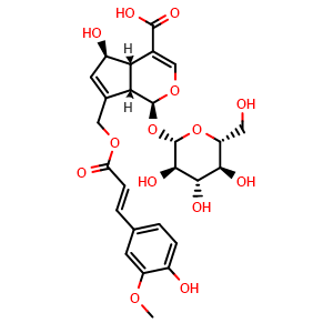 Chemical structure of 10-O-trans-p-Feruloylscandoside , CAS 1428268-72-7, AChemBlock X217751
