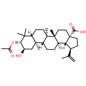Chemical structure of 2alpha-hydroxy-3beta-acetyloxy-betulic acid , CAS 1163728-89-9, AChemBlock X217759