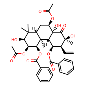 Chemical structure of Neoorthosiphol A , CAS 243448-72-8, AChemBlock X217816