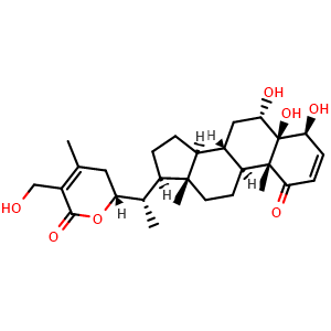 Chemical structure of 2,3-Didehydrosomnifericin , CAS 173614-88-5, AChemBlock X217849